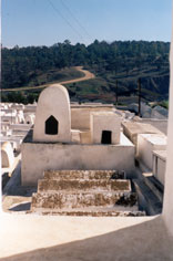 Slide 7