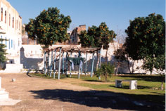 Slide 8